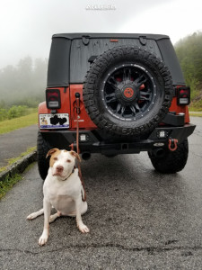 1 2014 Wrangler Jk Jeep Jks Manufacturing Stock Anthem Aviator Matte Black